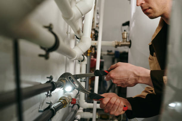 Best Leak Detection Services  in Cheswold, DE